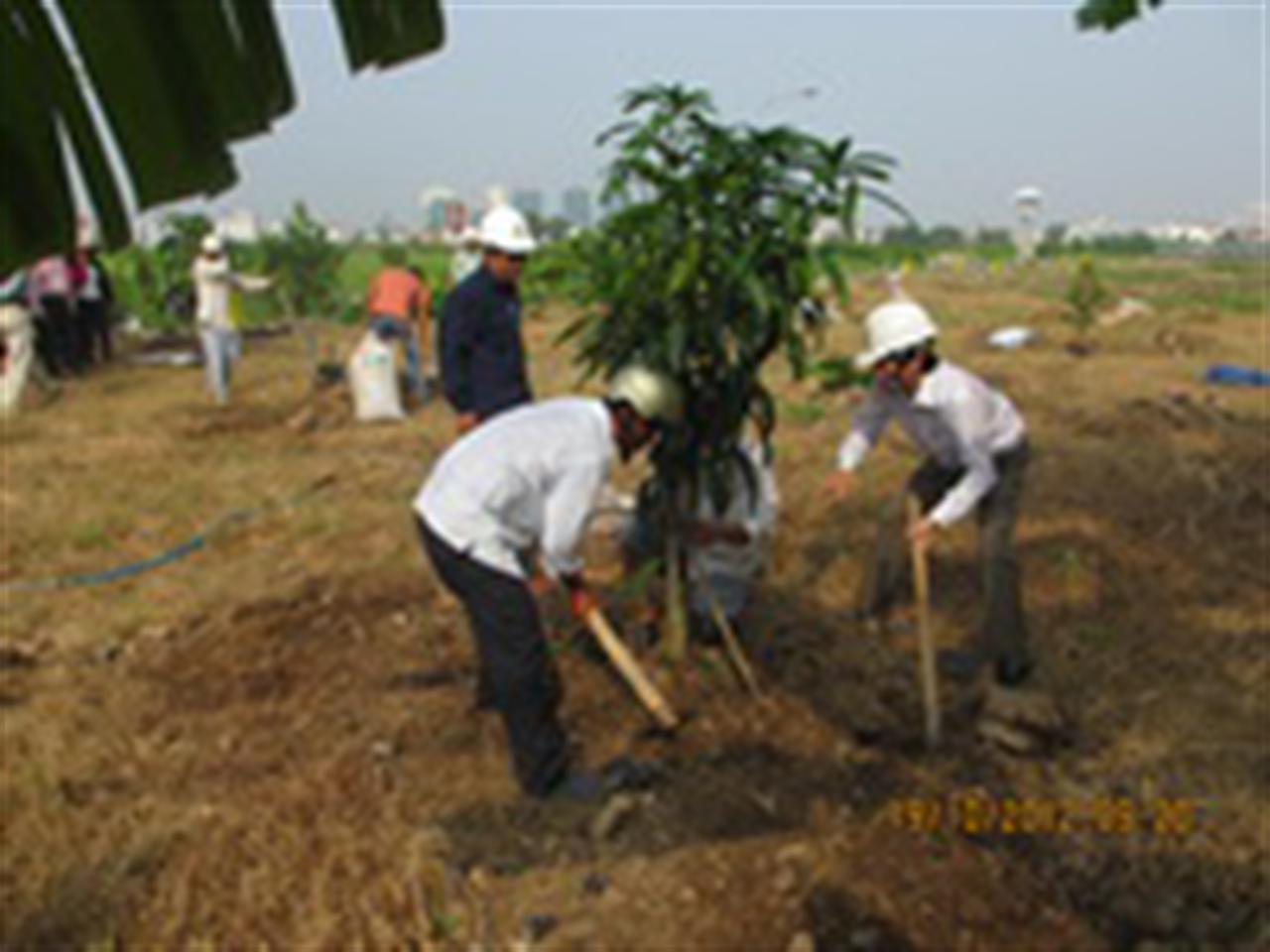 Tin ảnh: Ngày hội trồng cây tại Tổng kho Xăng dầu Nhà Bè