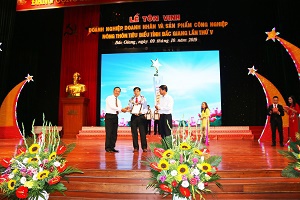 Petrolimex Hà Bắc được tôn vinh doanh nghiệp, doanh nhân  tiêu biểu năm 2019.