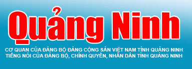 Khởi tố, tạm giam đối tượng hành hung 2 nhân viên cửa hàng xăng dầu