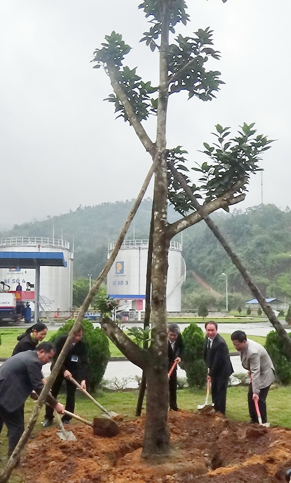 Tổng giám đốc Trần Văn Thịnh thăm, trồng cây lưu niệm tại Kho xăng dầu Lào Cai