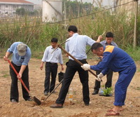 Mỗi người một tay, sẽ thành rừng cây