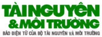 Petrolimex bất ngờ lọt TOP 10 thương hiệu Việt Nam giá trị nhất 2019