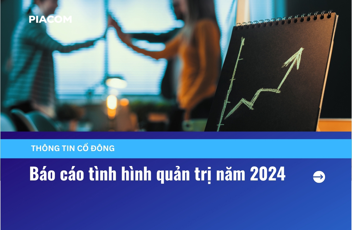 Báo cáo tình hình quản trị năm 2024
