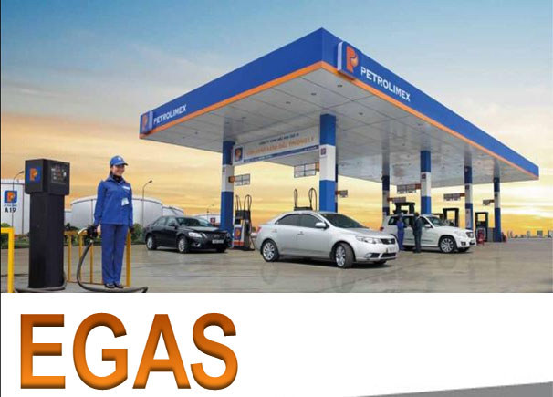 Các vướng mắc phổ biến khi vận hành EGAS và phương pháp xử lý