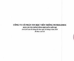 Báo cáo tài chính tổng hợp giữa niên độ cho kỳ kế toán kết thúc tại ngày 30/06/2020 đã soát xét