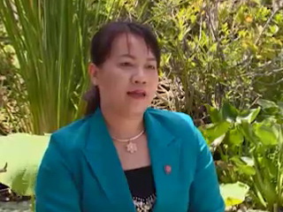 Áo mới Cà Mau