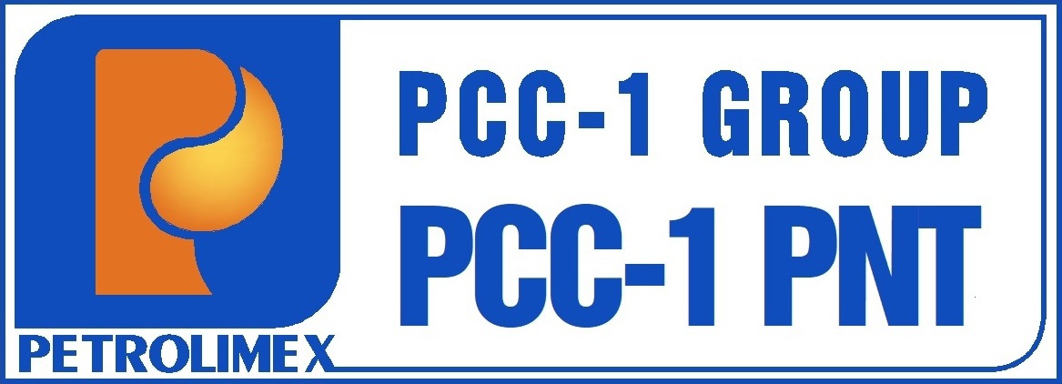 Công ty cổ phần Bãi đỗ xe tự động PCC-1 NISSEI TIC (PNT)
