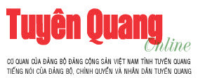 Công ty Xăng dầu Tuyên Quang: Thực hiện tốt nghĩa vụ nộp ngân sách nhà nước
