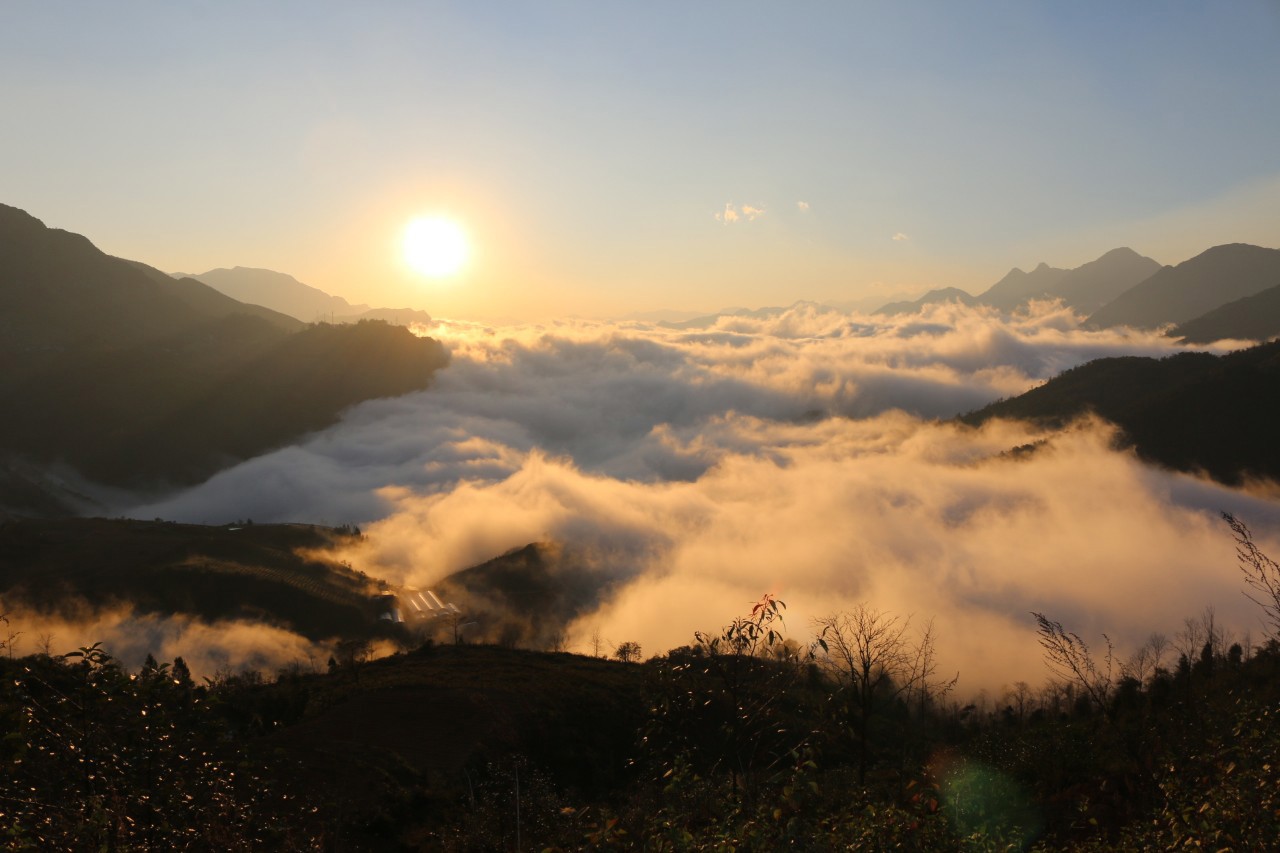 Việt Nam sáng tươi