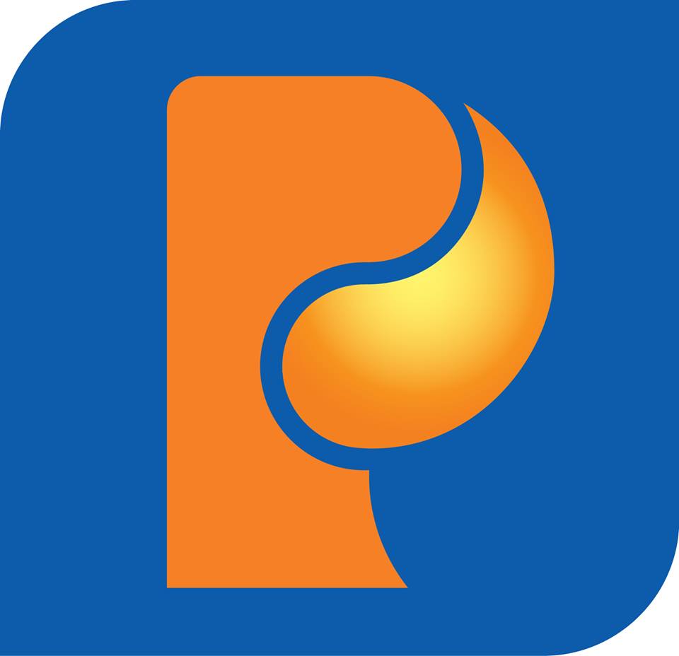 Báo cáo tài chính hợp nhất đã được kiểm toán năm 2015 - Petrolimex