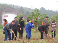 Tết trồng cây ở Petrolimex Lào Cai