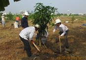 Tin ảnh: Ngày hội trồng cây tại Tổng kho Xăng dầu Nhà Bè