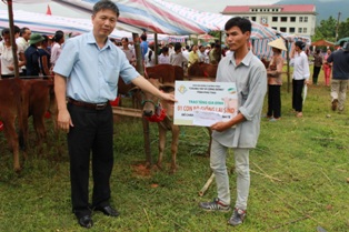 Trao 5 con bò giống tặng 5 hộ nghèo Tân Sơn