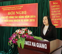 Tổng kết công tác Đảng năm 2014 và triển khai nhiệm vụ năm 2015