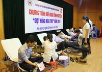 Giọt hồng mùa thu