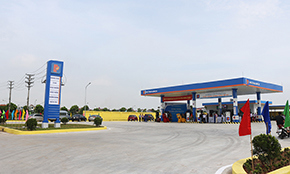Trái ngọt sau những gian nan