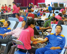 Ngày hội "Giọt máu hồng 2013"