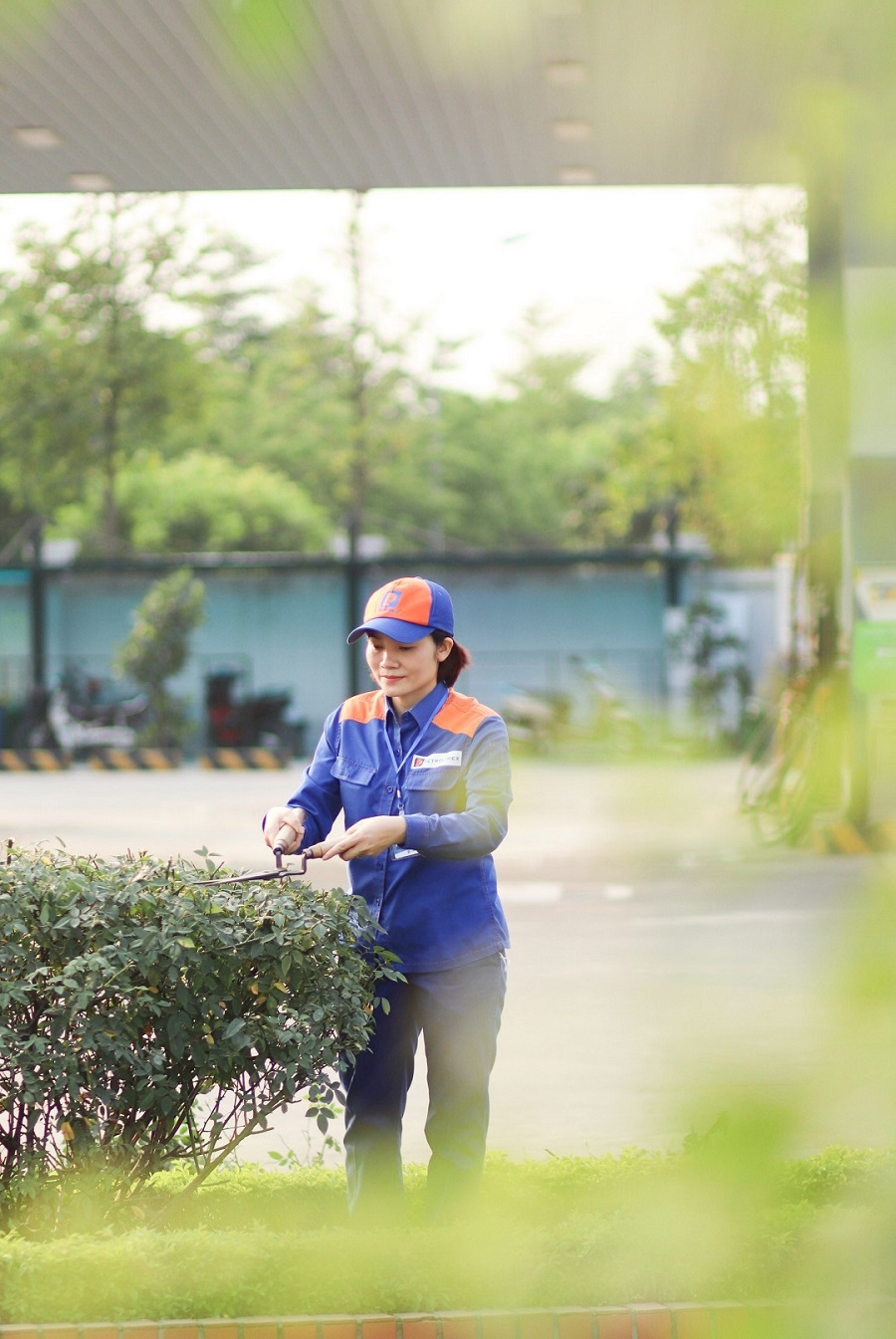 Ảnh dự thi "Dấu ấn tuổi thanh xuân"