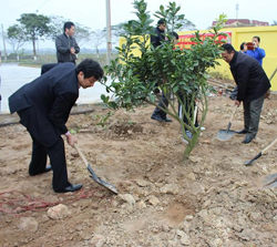 Hoạt động mừng xuân Giáp Ngọ 2014