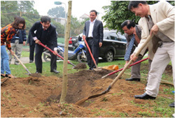 Chi nhánh Xăng dầu Vĩnh Phúc tổ chức tết trồng cây