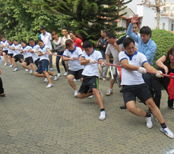 Giải thể thao chào Xuân Giáp Ngọ 2014