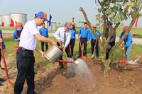 ĐTN Petrolimex hưởng ứng lời kêu gọi "Tết trồng cây" của Bác Hồ