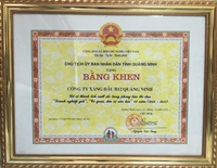 Công ty Xăng dầu B12 đạt danh hiệu “Doanh nghiệp giỏi” -  “Cơ quan, đơn vị văn hóa”