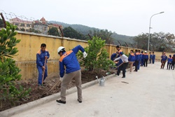 Tết trồng cây 2018 tại Kho Xăng dầu K130