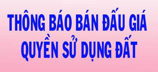 Thông báo Bán đấu giá quyền sử dụng Bất động sản thanh lý