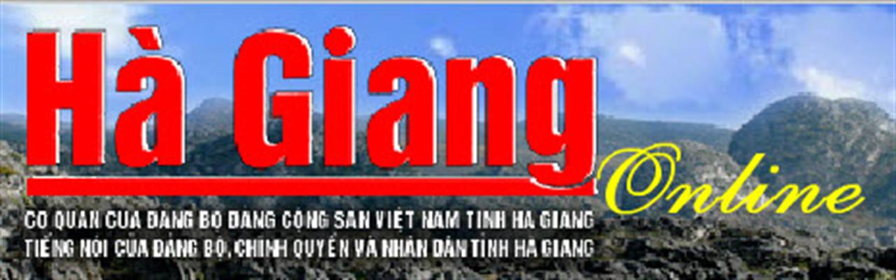 "Bông hồng Vàng" trên cao nguyên đá