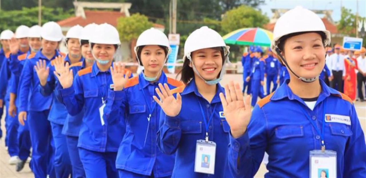Những bông hồng màu xanh