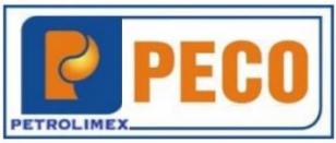 Điều lệ Công ty Cổ Phần Thiết bị xăng dầu Petrolimex năm 2020