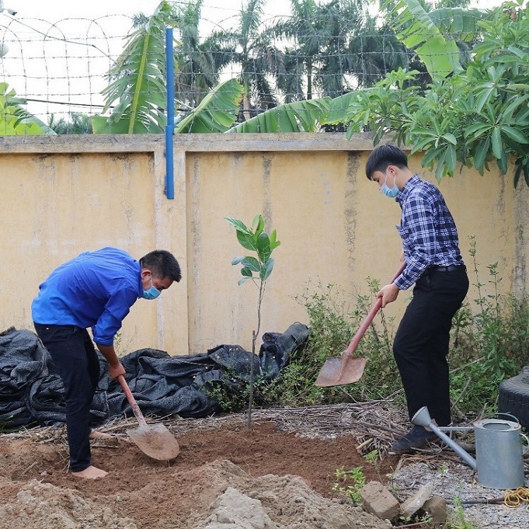 Đoàn Thanh niên PECO tổ chức trồng cây xanh tại CHXD Vĩnh Ngọc