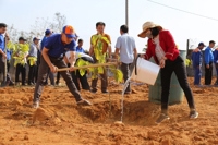 Petrolimex Gia Lai phát động trồng cây chào xuân Quý Mão 2023