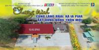 Petrolimex Gia Lai chung tay xây dựng nông thôn mới