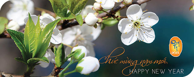 New Year Greeting 2013